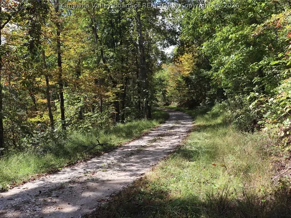 0 McKowns Crk, Walton, WV 25286