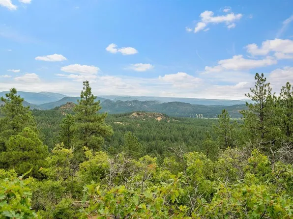 1586 Bald Eagle Drive, Bayfield, CO 81122