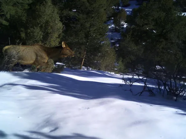 22738 County Road M.5, San Luis, CO 81152