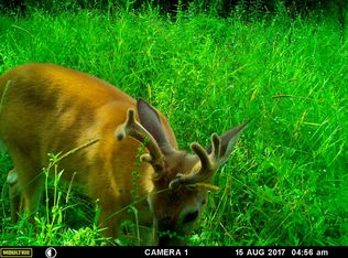 443 172nd Ave, Somerset, WI 54025