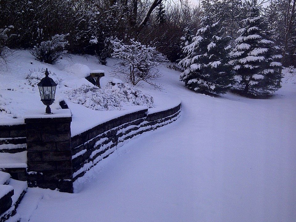 2nd image of 8766 Black Maple Dr