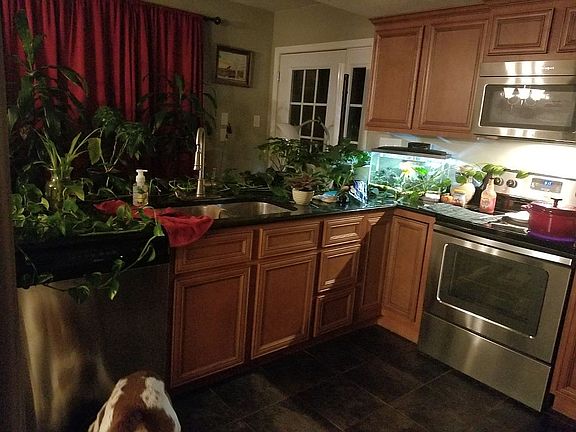 Downstairs Kitchen 2