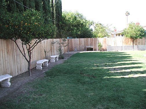 Another View of Backyard