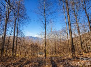 4 Buckeye Rd #63, Maggie Valley, NC 28751