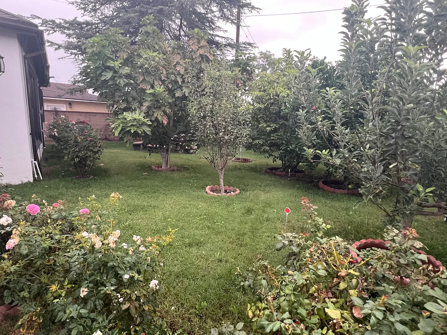 3 bed, 1500 sqft, $4,700 — Photo 2