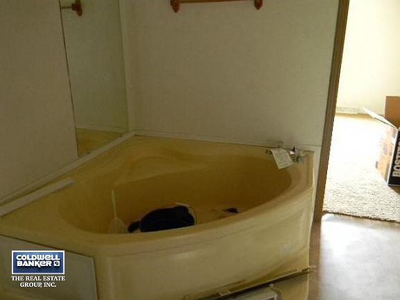 master bath with garden tub