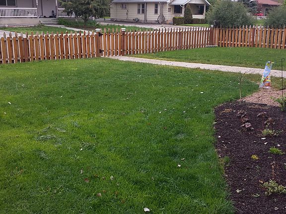 Front Yard