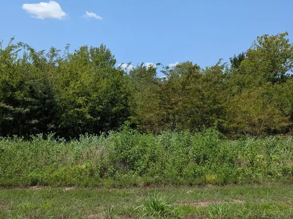 9193 W Shoreline Dr, Kemp, TX 75143