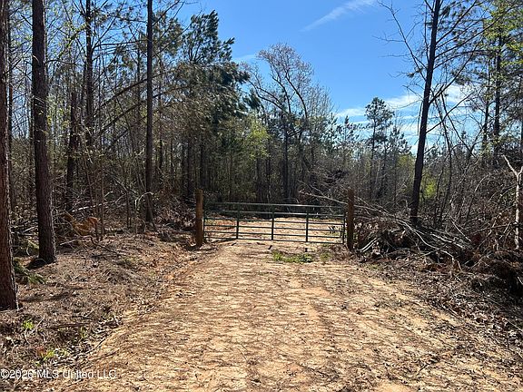 2nd image of State Highway 41