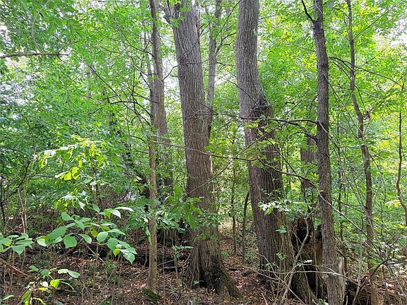 4th image of 11.97 Acres 230th Street