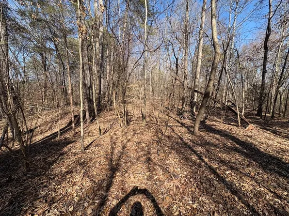 TRACT 1F Cleveland Hwy #1A, Cohutta, GA 30710