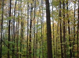 0 Isaman Hill Rd, Canaseraga, NY 14822