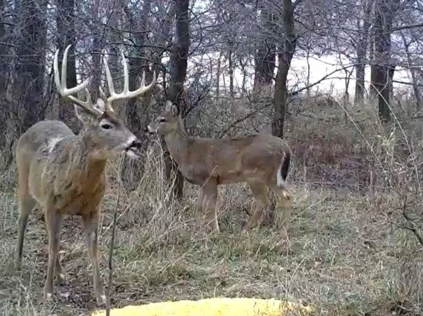 0 Diamond Creek Rd, Burdick, KS 66838