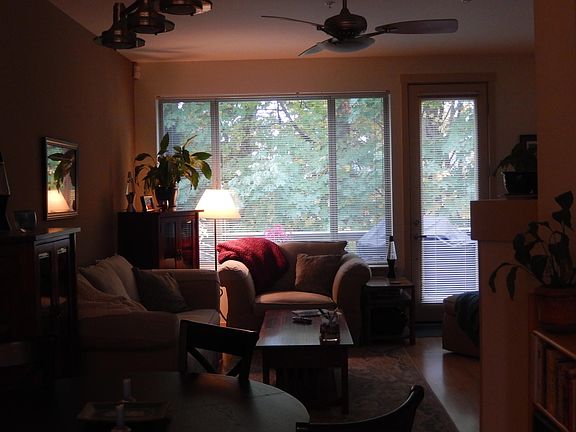 Living Rm - Natural Daylight Envelope the downstairs (Pictur