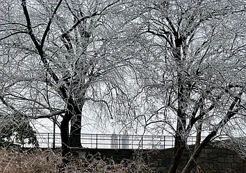 Rented by Maz Group NY