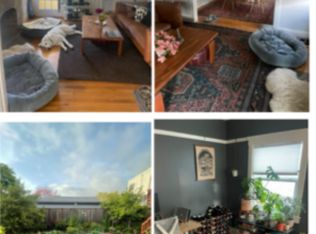 1068 Curtis St, Albany, CA 94706