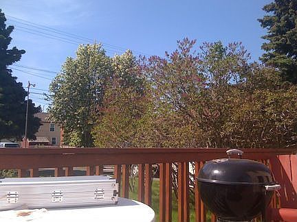 backyard/deck