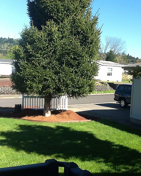 SE View from front porch.