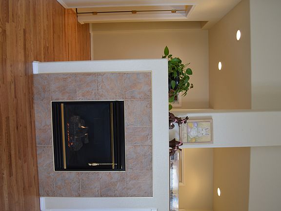 Gas fireplace 