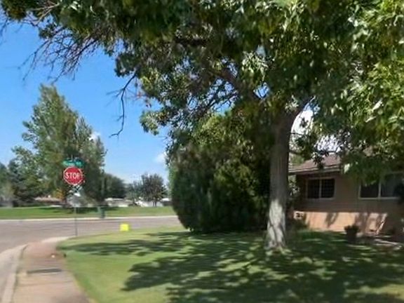 Front yard. Corner home across from the park