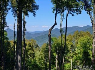 18 Elk Trl #11, Asheville, NC 28804