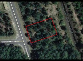 411 Underwood Trl, Palm Coast, FL 32164