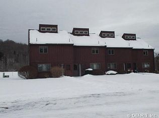 11023 Stone Rd, Swain, NY 14884