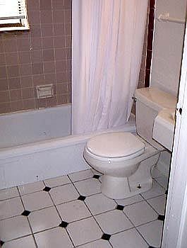 3rd image of 2519 Indianola Ave APT C
