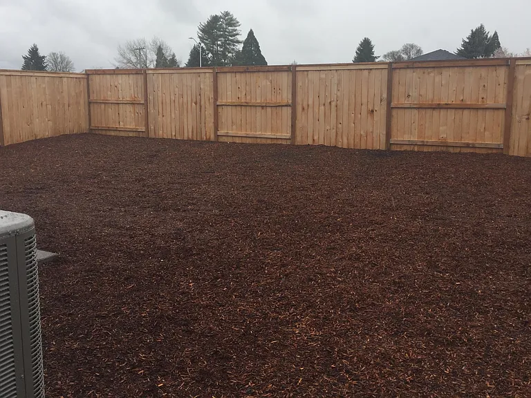 Large Backyard