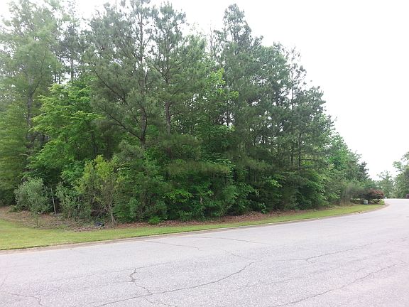 3rd image of Lot 273 Night Harbor Dr
