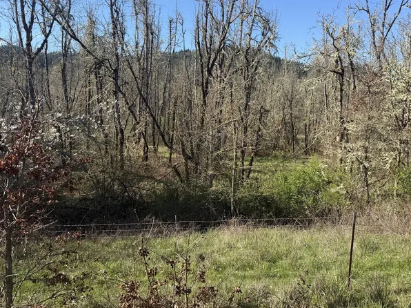 82750 Bear Creek Rd, Creswell, OR 97426