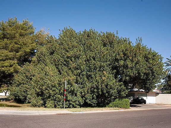 14th Street view