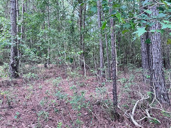 3rd image of 208 Ella Point Lot 17