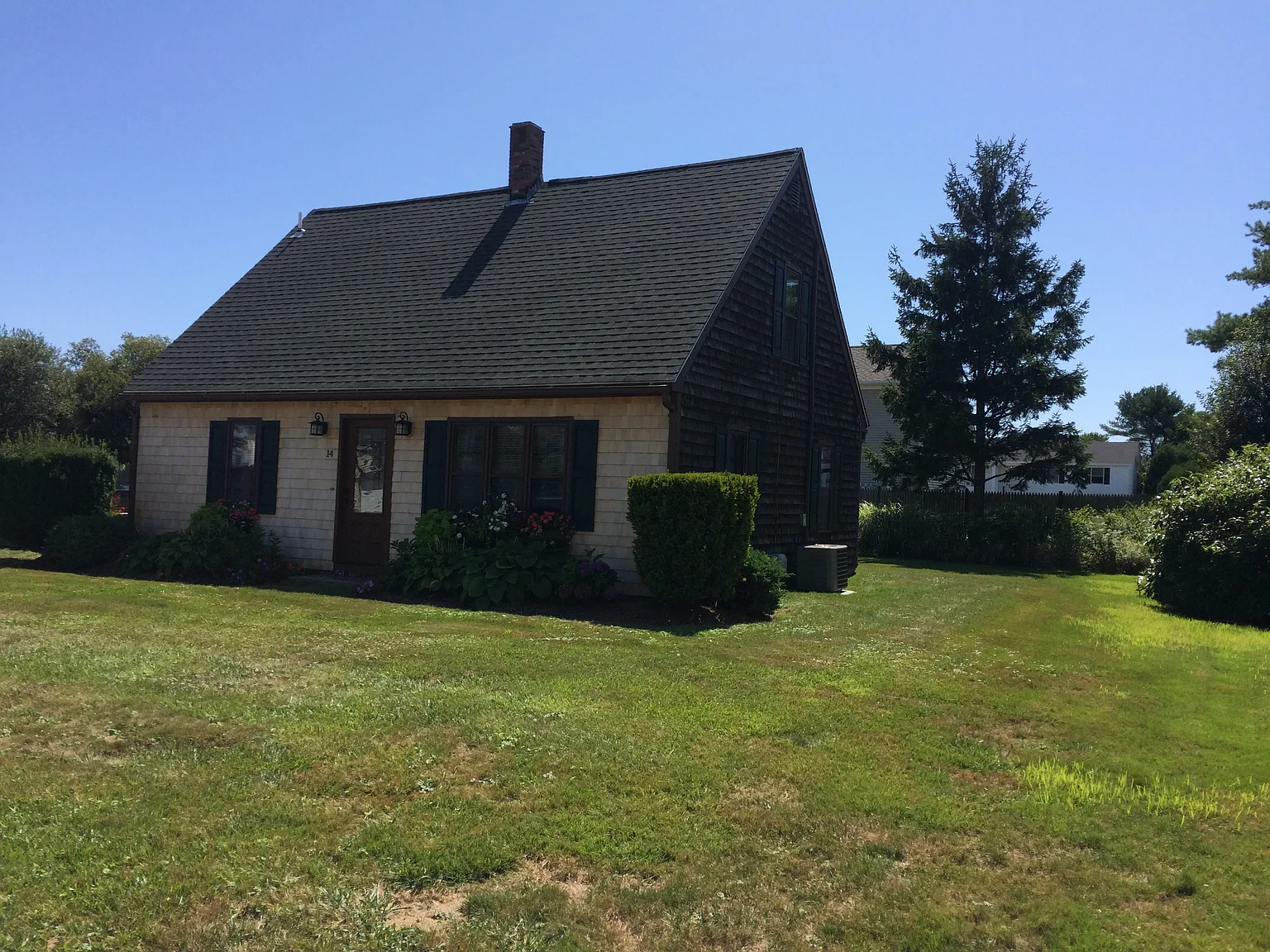 3 bed, 1229 sqft, $3,100 — Photo 3
