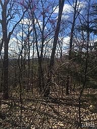 2nd image of 0 Old Fredericktown Rd