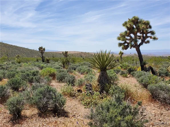 17 Off N, Willow Beach, AZ 86445