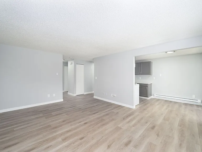 Pine Tree Lane Apartments — Photo 18