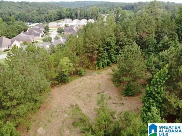 992 Narrows Point Dr Lot 2, Birmingham, AL 35242