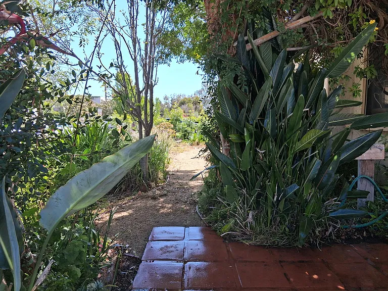 Front yard