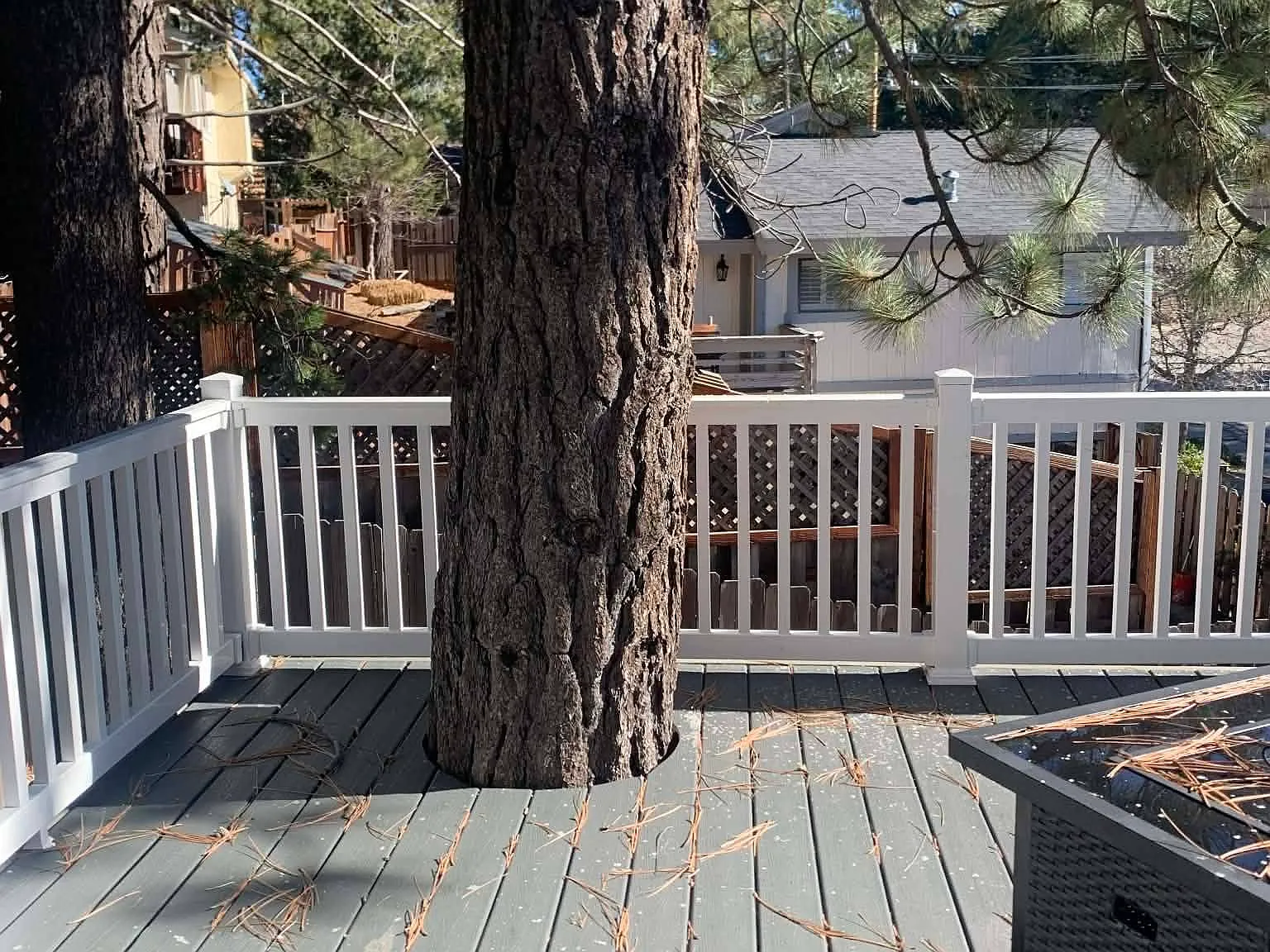 3 bed, 1323 sqft, $2,550 — Photo 3