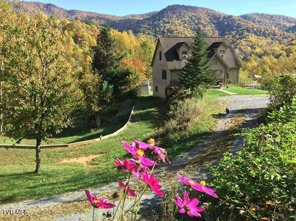 210 Blackberry Cove Cir, Roan Mountain, TN 37687
