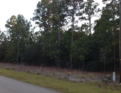 720 Palmer Dr, Southport, NC, 28461