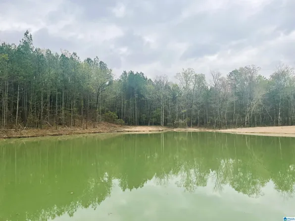 4233 Rock School Rd #1, Harpersville, AL 35078