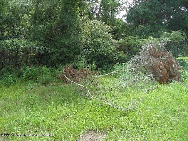 2nd image of 14505 Linden Dr