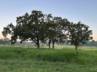 Polk Rd #49, Mena, AR 71953