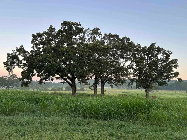 Polk Rd #49, Mena, AR 71953