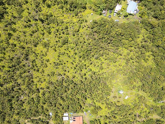 3rd image of Hibiscus St Lot 7562