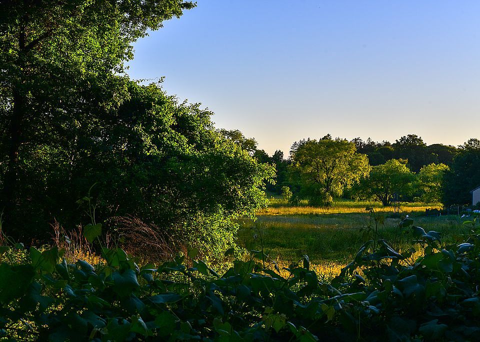 35 Fellows Rd, Ipswich, MA 01938 Zillow