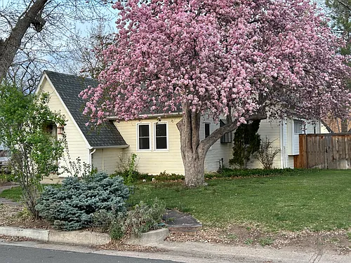 1010 Smith St Photo 1