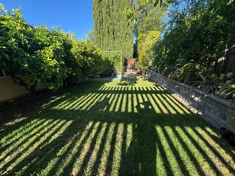 Backyard with multiple fruit trees and a raised bed with vegetable plants and indian vaal beans vine